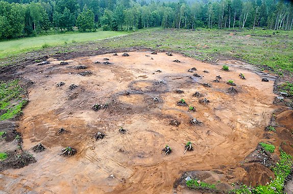 ett stort markområde som är utgrävt av arkeologer. i mitten syns tre gravar.