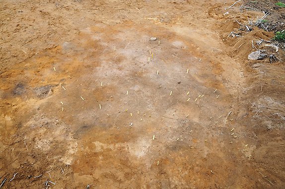 en svag aning av en rund hydda kan ses. Arkeologerna har markerat fynd med pinnar.
