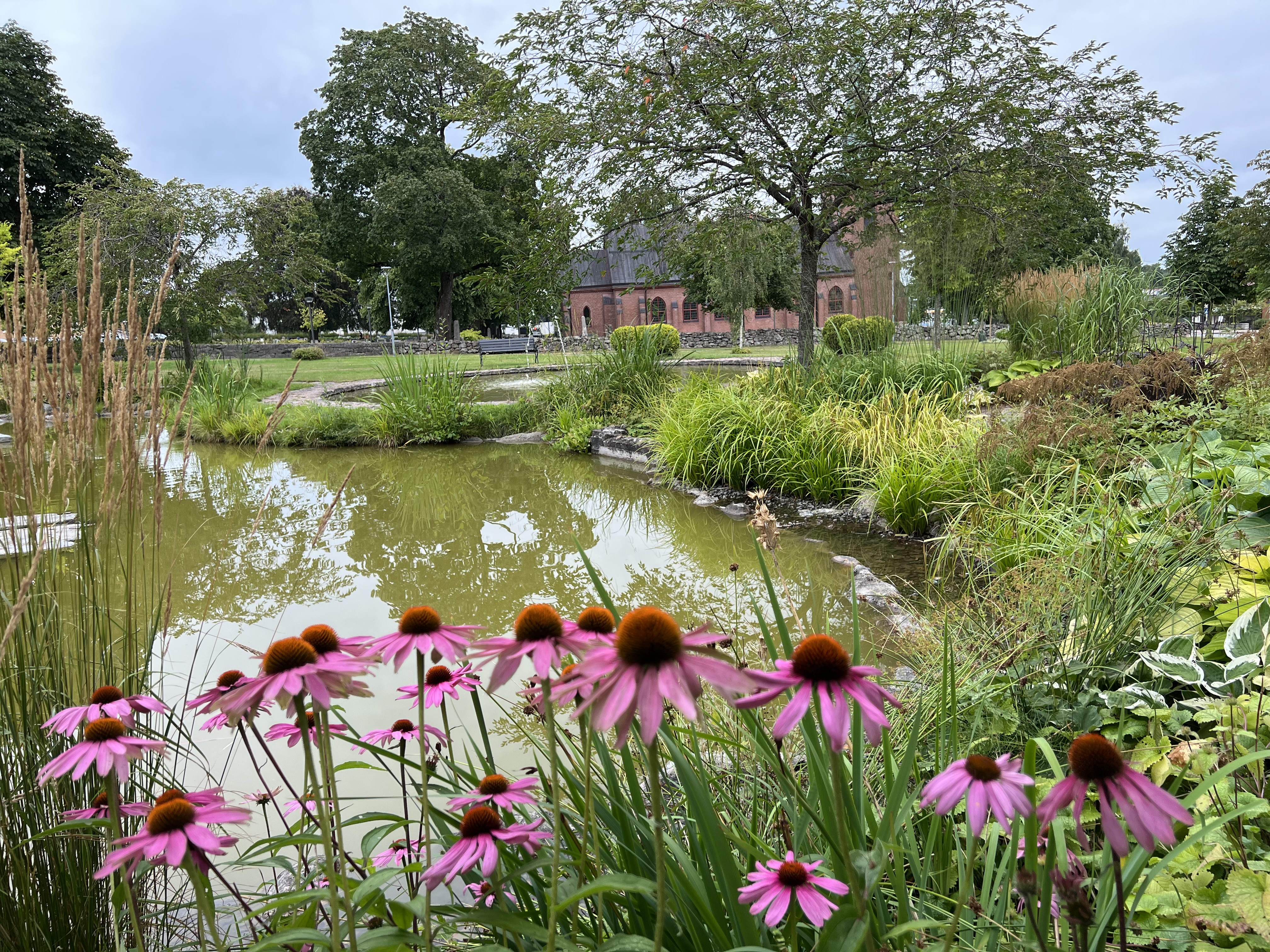 Vackra blommor i kyrkparken