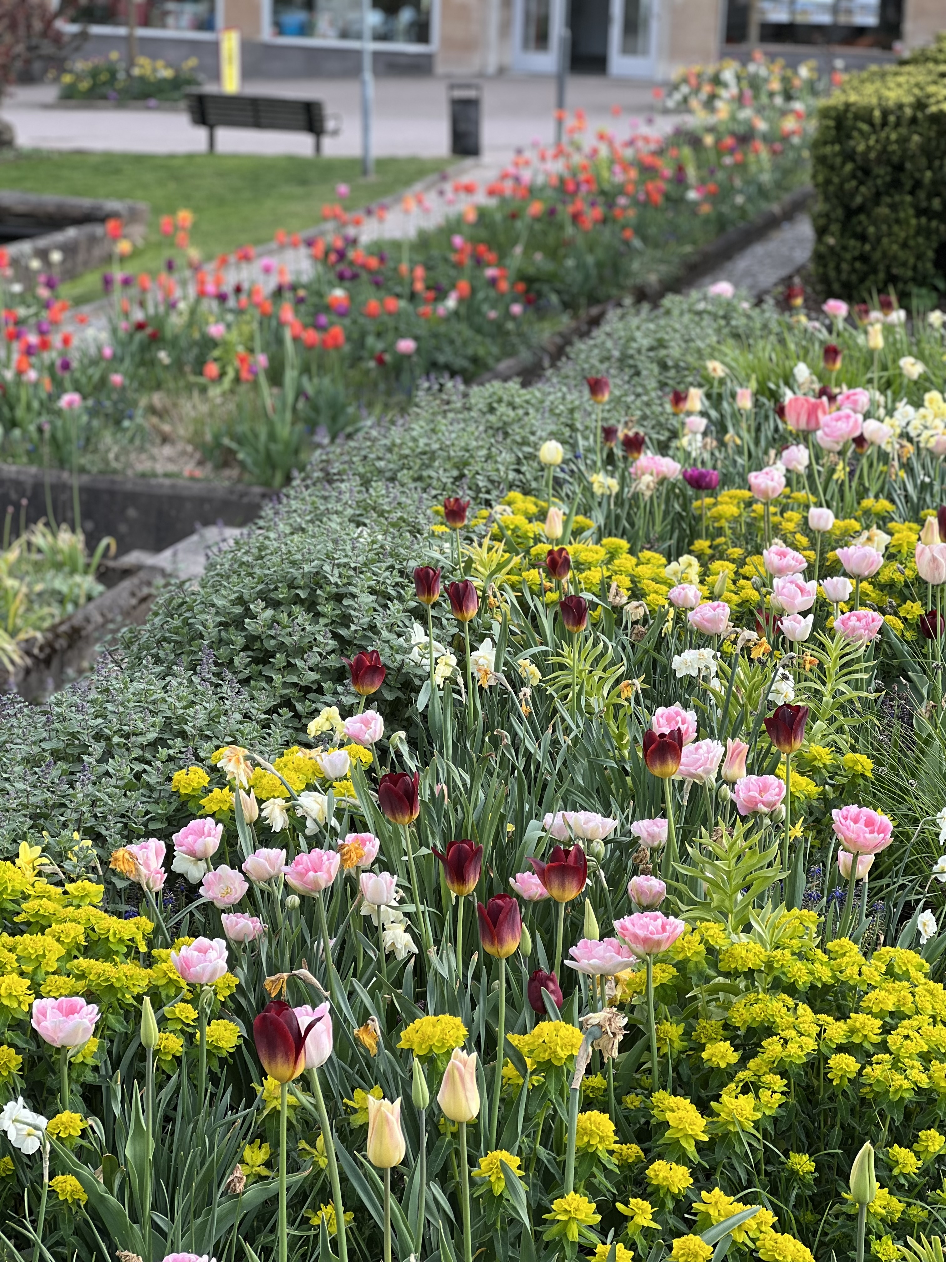 Blommor i Torgparken Gislaved