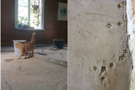 en delad bild av en katt som stryker sig mot en hink och en bild på tassavstryck i lera