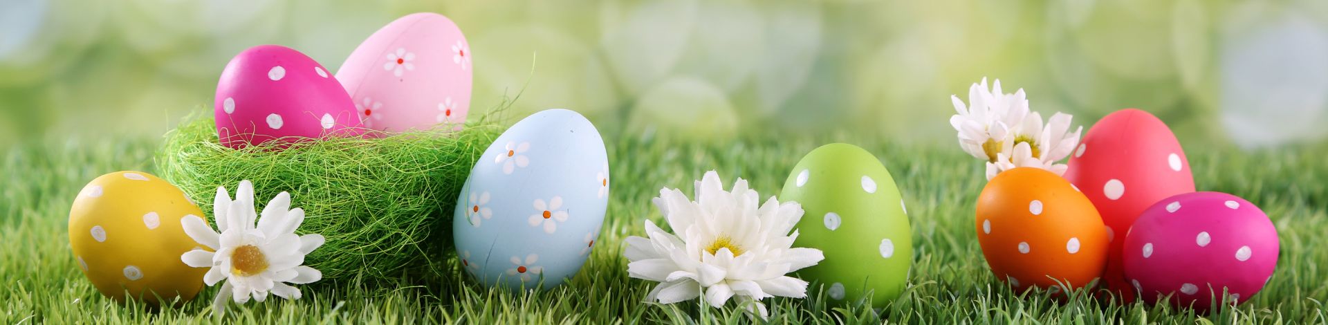 Färgglada påskägg i gräs