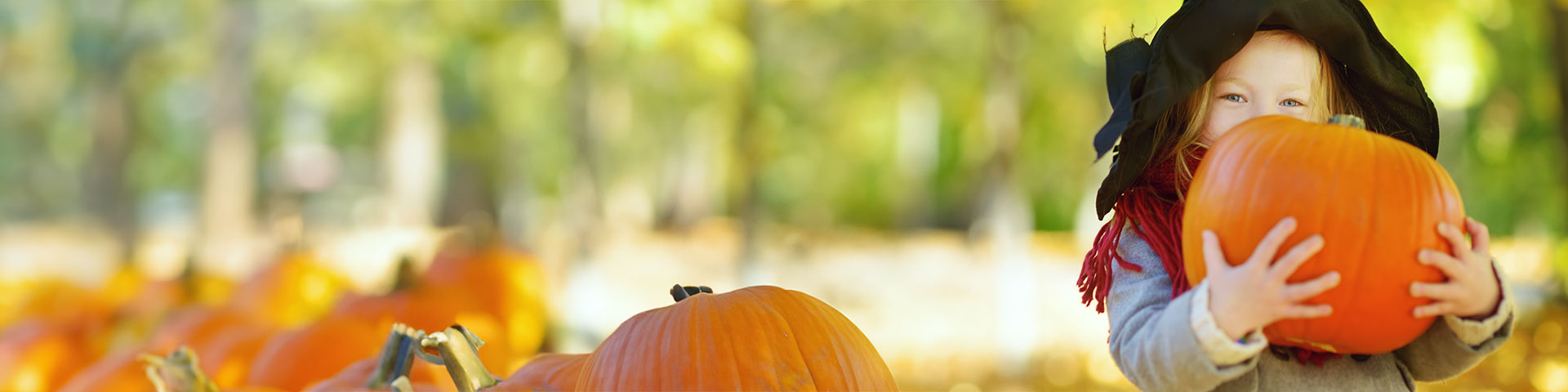 Flicka med massor av orangea pumpor