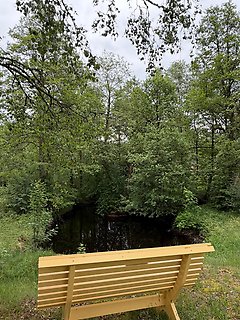 En gul vänskapsbänk framför en damm i Hestra