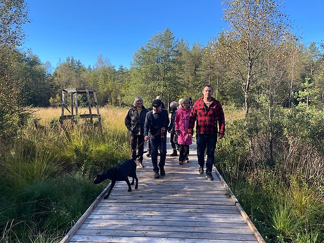 En grupp personer och hund vandrar på en träramp, solen skiner.