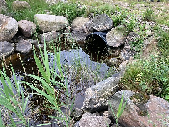 Utlopp eller inlopp? Trumma som förbinder lekbiotopen med Stengårdshultasjön