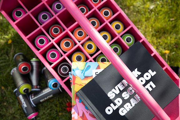 sprayburkar och böcker i en rosa verktygslåda
