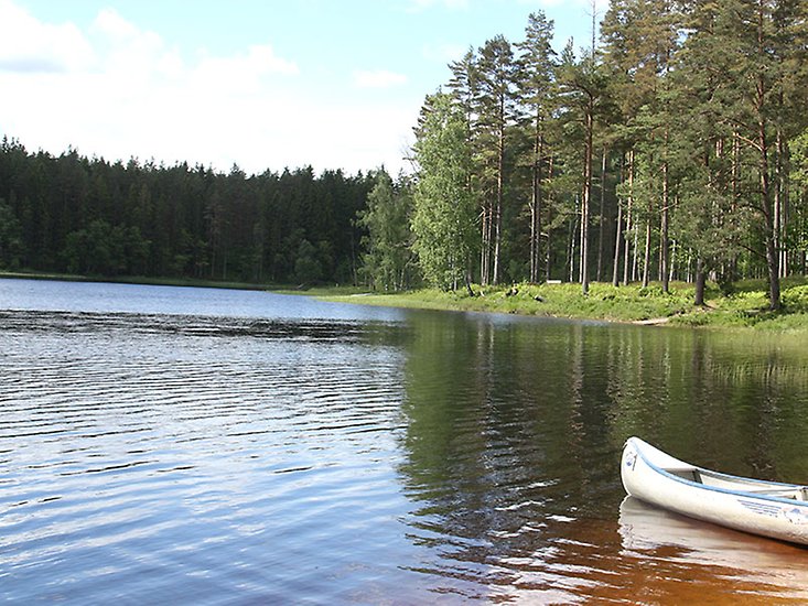 En sjö. Till höger i bilden syns en skogsdunge och en kanot.