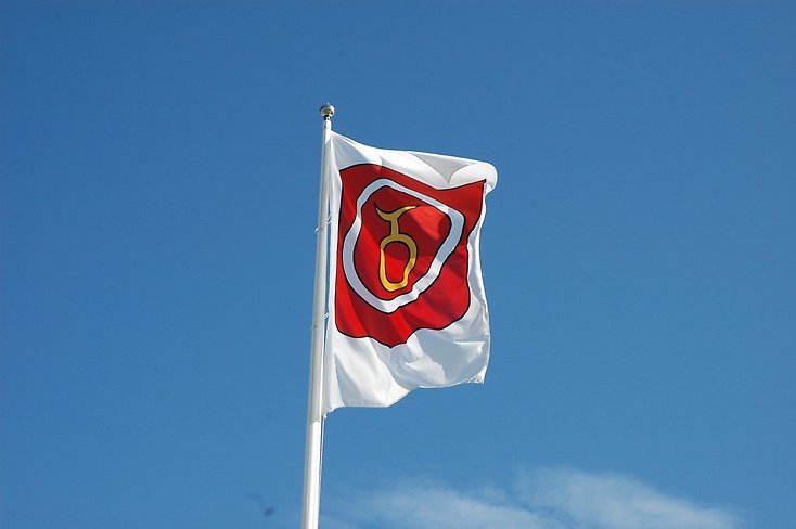 Flaggstång med kommunens flagga som vajar