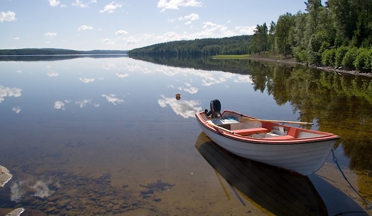En roddbåt vid strandkanten av en sjö en sommardag.