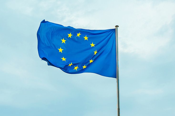 EU-flagga