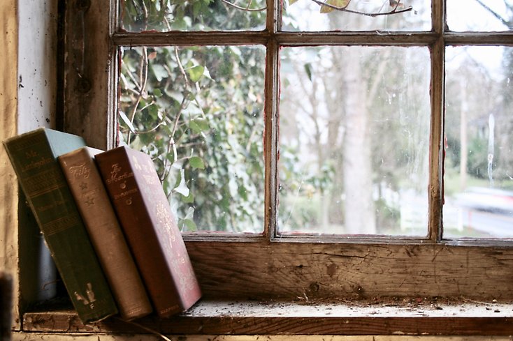  böcker i ett gammalt fönster.